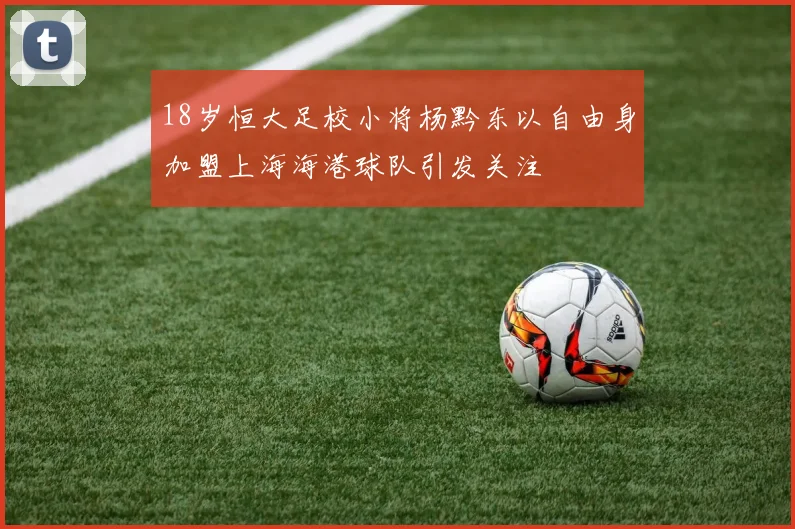 18岁恒大足校小将杨黔东以自由身加盟上海海港球队引发关注