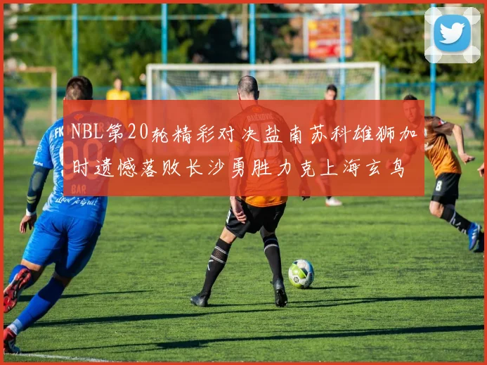 NBL第20轮精彩对决盐南苏科雄狮加时遗憾落败长沙勇胜力克上海玄鸟