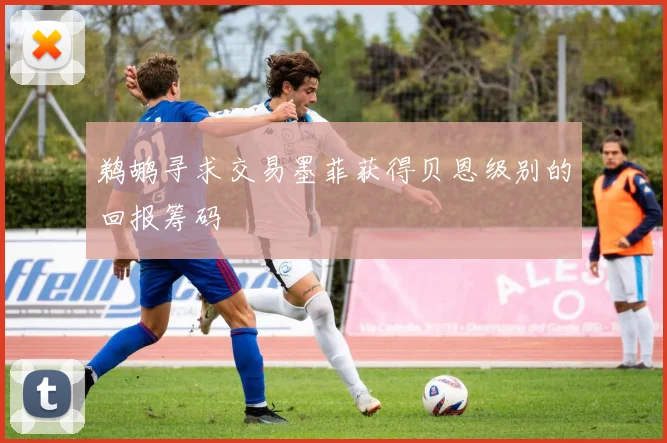 鹈鹕寻求交易墨菲获得贝恩级别的回报筹码