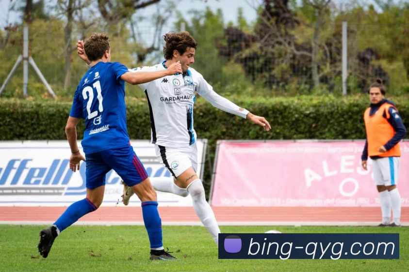 奇异果体育平台生态图